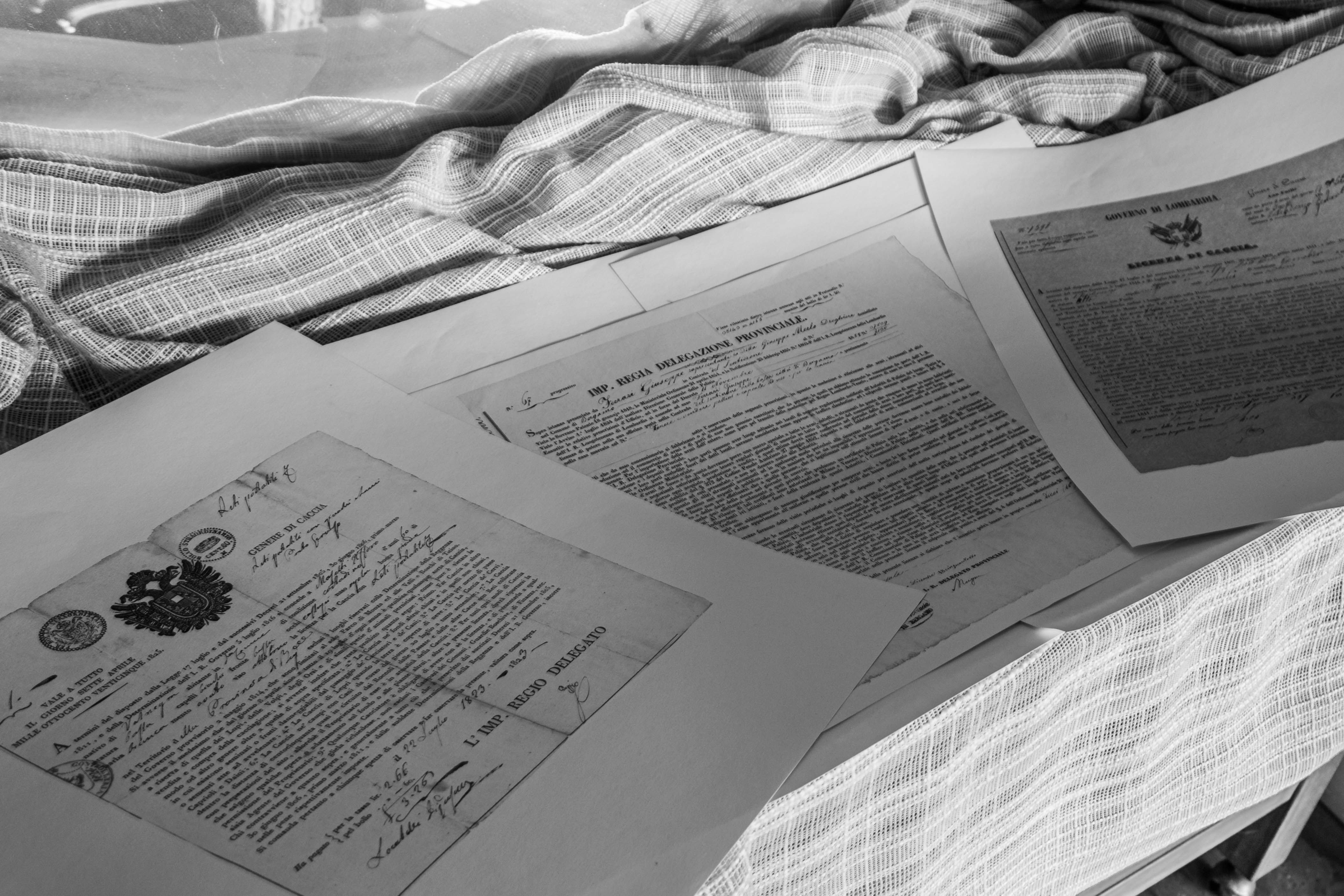 Feasibility Studies